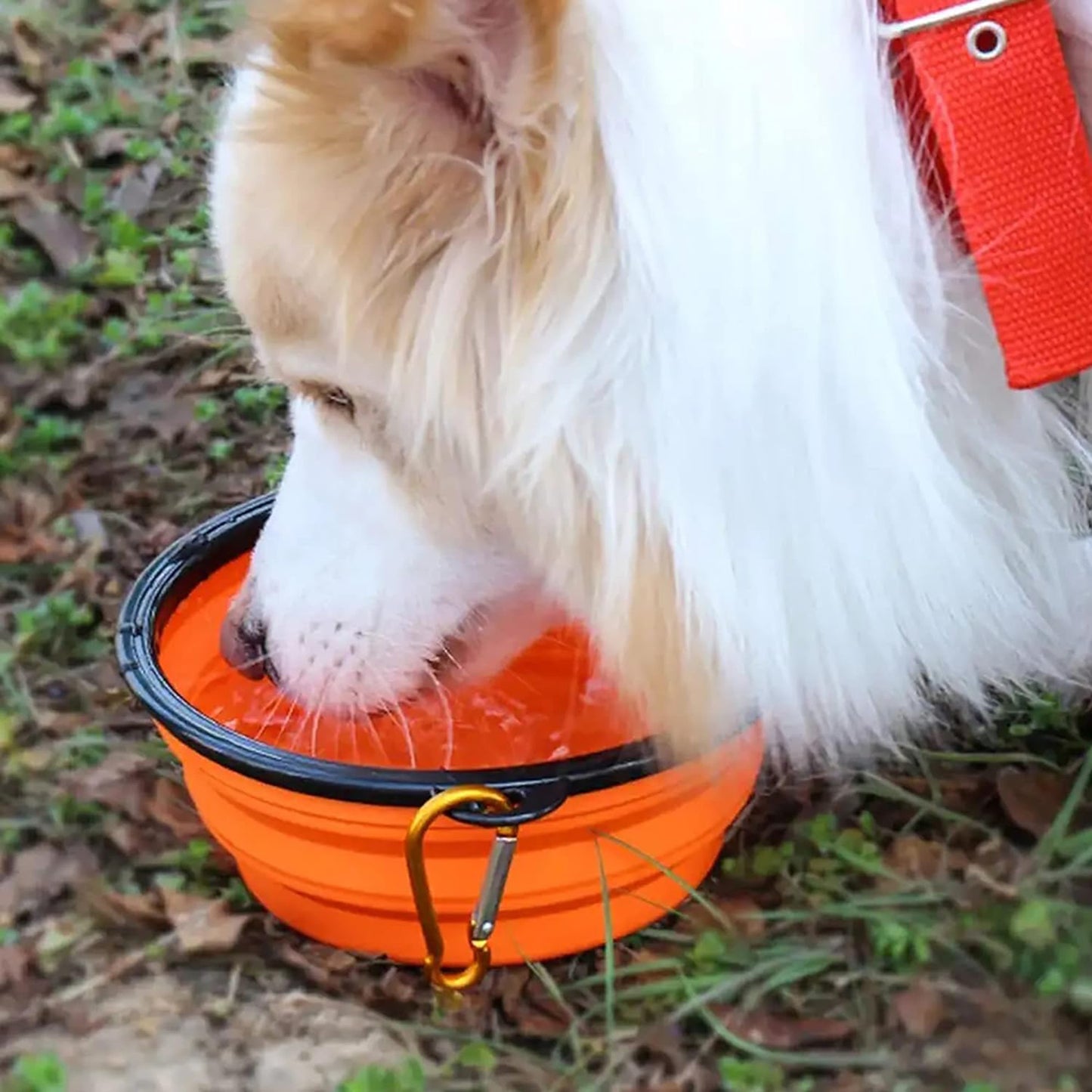 LTAW253【100 PCS】Pet Collapsible Bowls