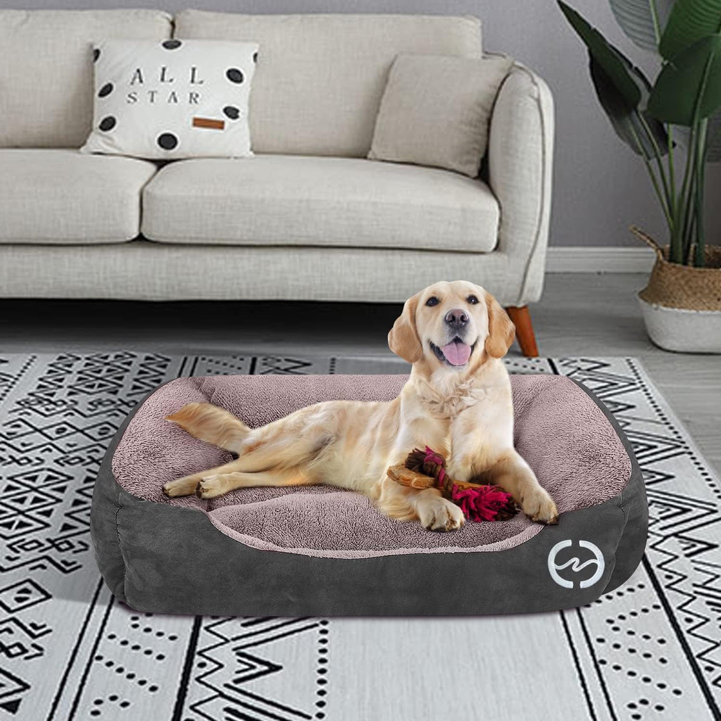 LTAW385【100 PCS】Dog Bed