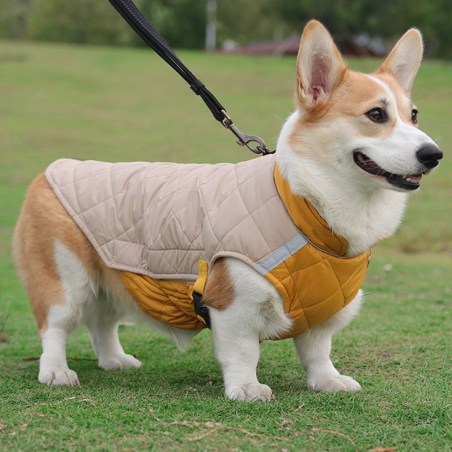 LTAW387【100 PCS】Dog Cold Weather Coats