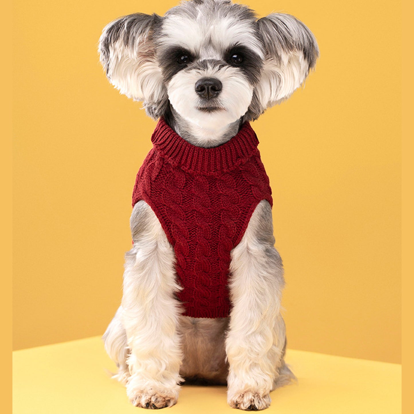 LTAW389【100 PCS】Dog Knitted Sweater